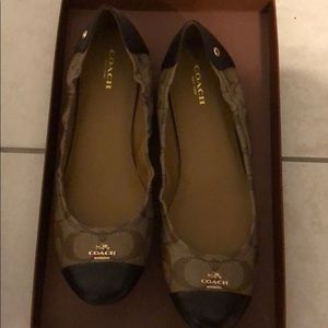 Brown and Black Coach Flats